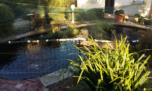 Bassin de jardin après un entretien. Les plantes ont été taillées, les algues et feuilles enlevées et le filtre nettoyé. Le bassin est prêt à passer l'hiver.