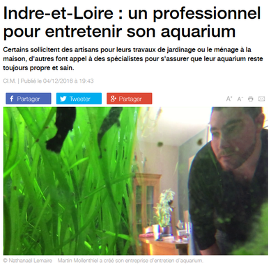 Reportage sur Martin-Aquarium par France 3.